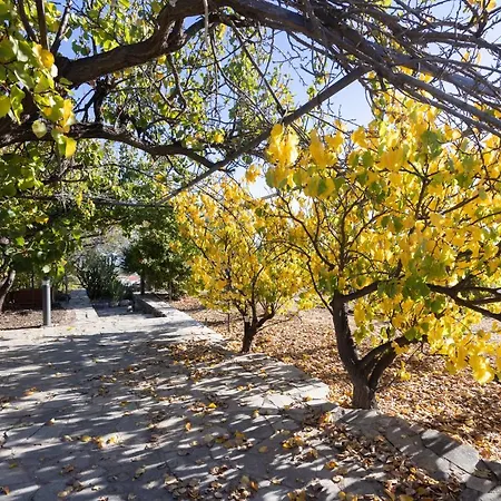 Alta Montana 3* Vilaflor