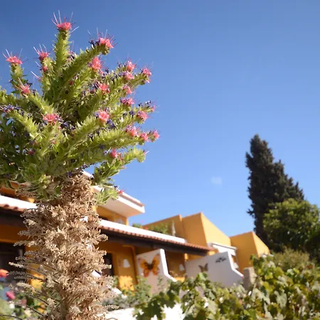 Otel Alta Montana 3*