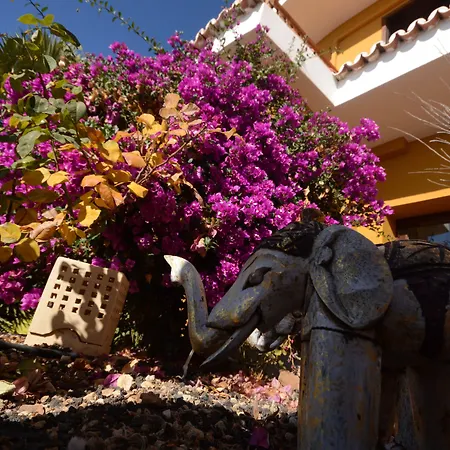 Alta Montana 3* Vilaflor