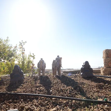 Otel Alta Montana 3*