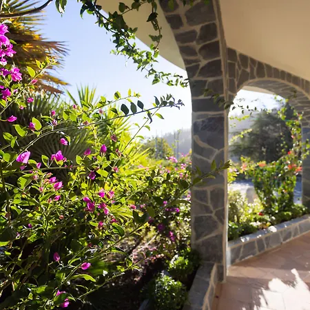 Отель Alta Montana