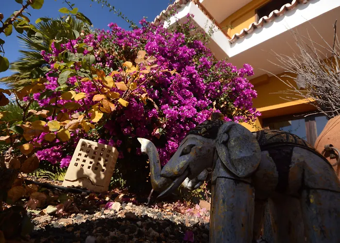 Alta Montaña 3* Vilaflor