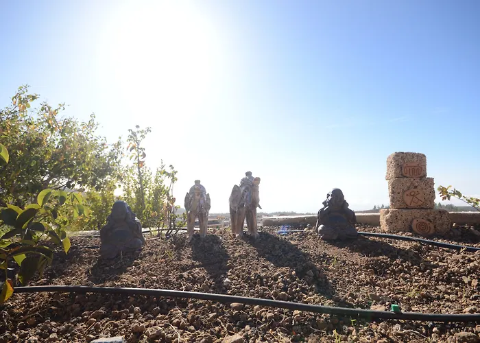 Hotel Alta Montana 3*