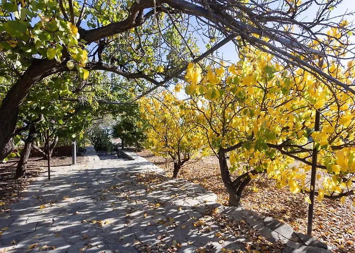 Alta Montana 3* Vilaflor